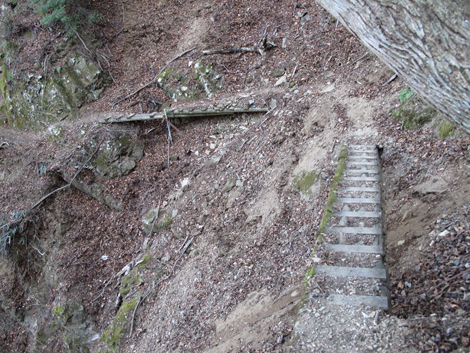 20190108hike (430)